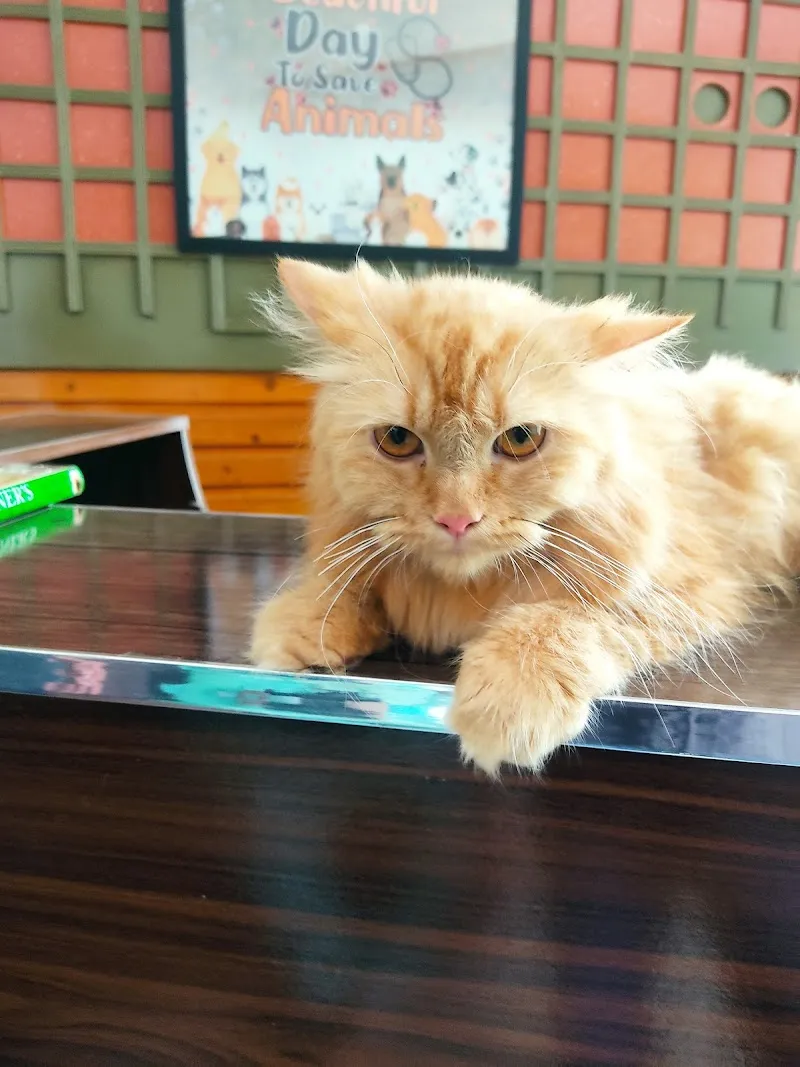 Healthy Paws Pet Hospital and Pet Mart