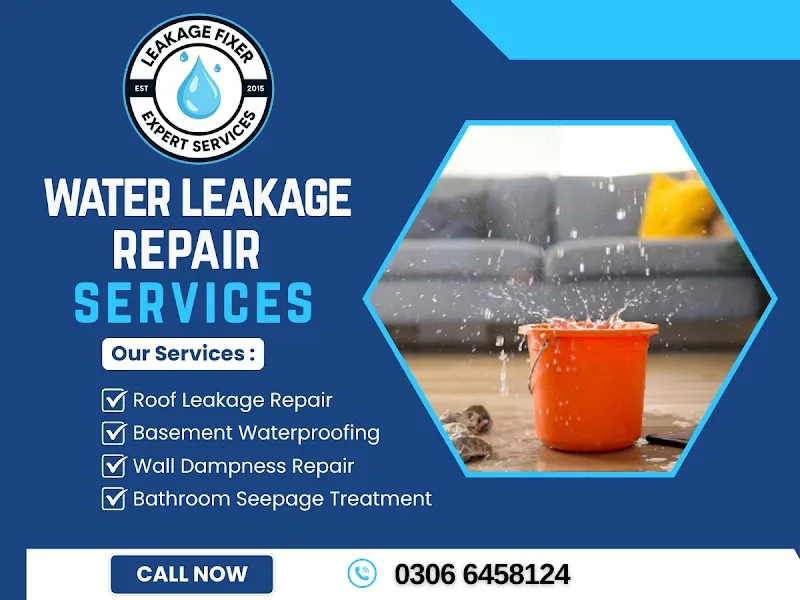Leakage Fixer Expert