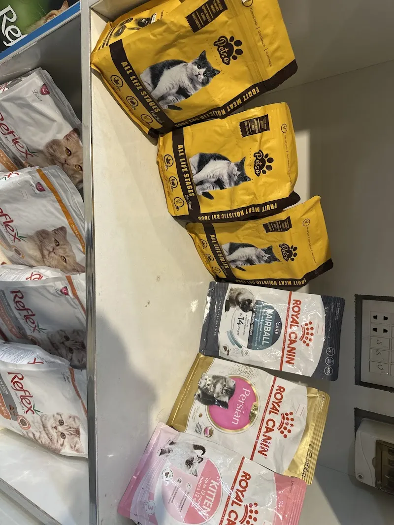 Little Paw's Pet Clinic