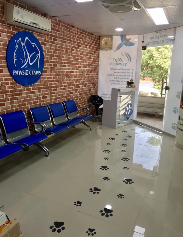 Paws N Claws Pets Clinic Islamabad